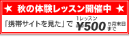 �H�̑̌����b�X���J�Ò�